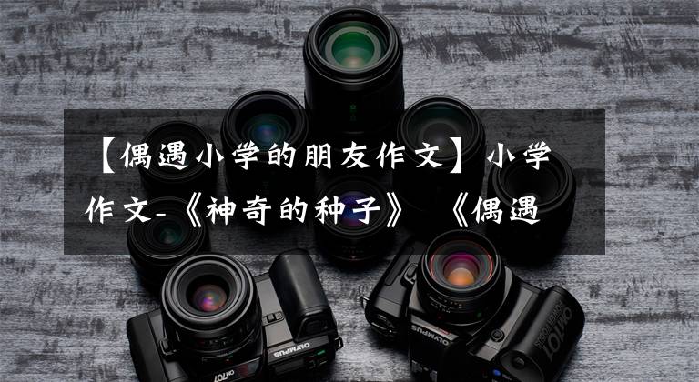 【偶遇小学的朋友作文】小学作文-《神奇的种子》 《偶遇孙悟空》 《我喜爱的桂花树》
