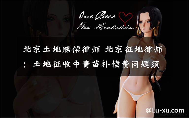 北京土地赔偿律师 北京征地律师：土地征收中青苗补偿费问题须知