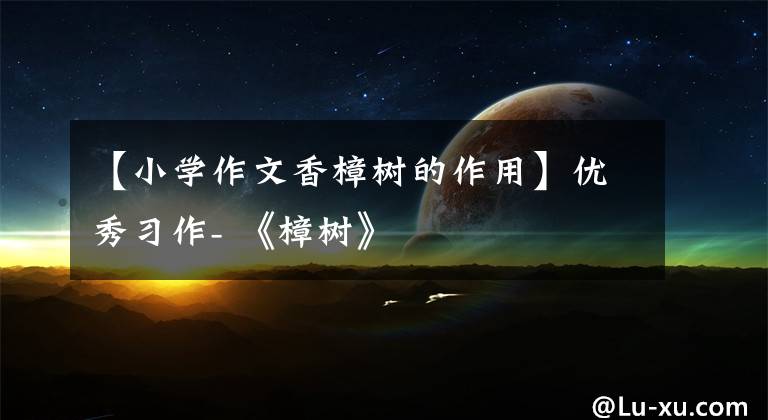 【小学作文香樟树的作用】优秀习作- 《樟树》