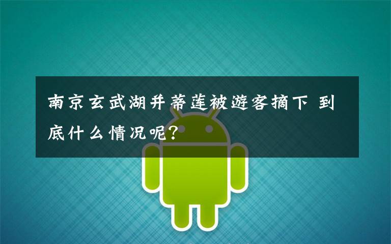 南京玄武湖并蒂莲被游客摘下 到底什么情况呢？