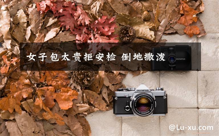 女子包太贵拒安检 倒地撒泼