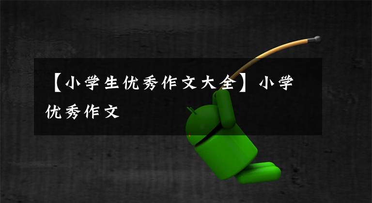 【小学生优秀作文大全】小学优秀作文