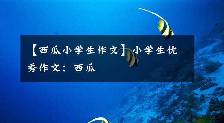 【西瓜小学生作文】小学生优秀作文：西瓜