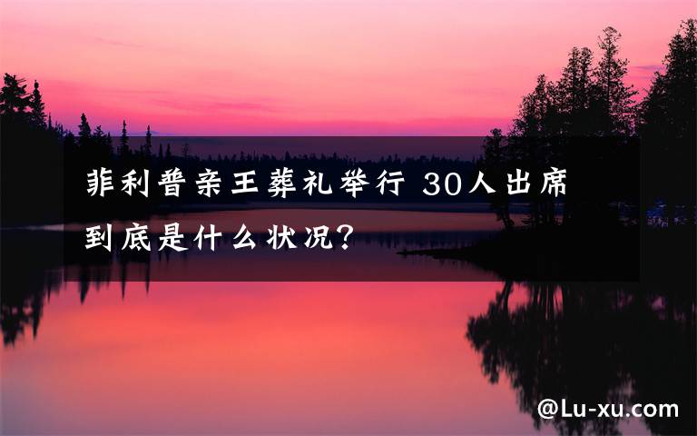 菲利普亲王葬礼举行 30人出席 到底是什么状况?