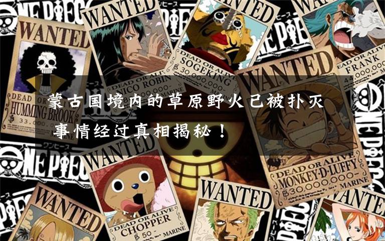 蒙古国境内的草原野火已被扑灭 事情经过真相揭秘！