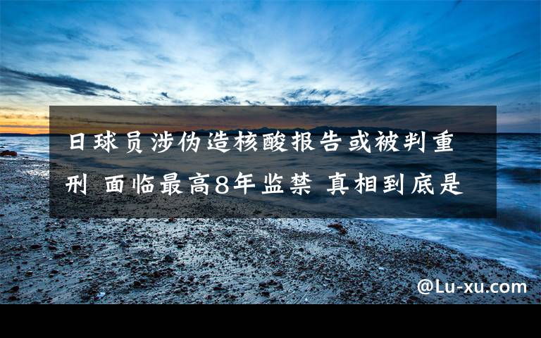 日球员涉伪造核酸报告或被判重刑 面临最高8年监禁 真相到底是怎样的？