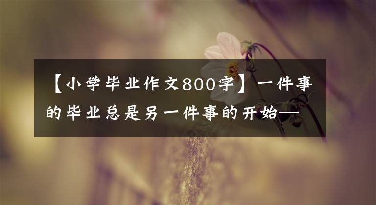 【小学毕业作文800字】一件事的毕业总是另一件事的开始——作文班的毕业感想