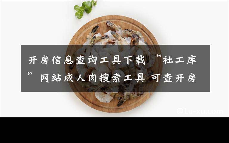 开房信息查询工具下载 “社工库”网站成人肉搜索工具 可查开房记录?