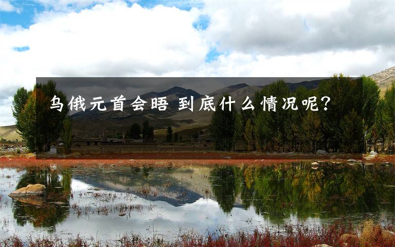 乌俄元首会晤 到底什么情况呢?