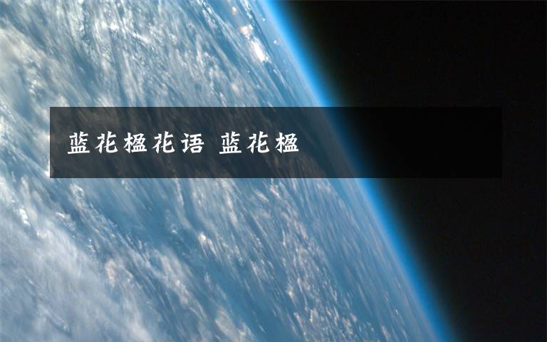 蓝花楹花语 蓝花楹