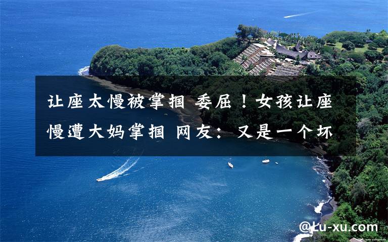 让座太慢被掌掴 委屈!女孩让座慢遭大妈掌掴 网友:又是一个坏人变老了的案例