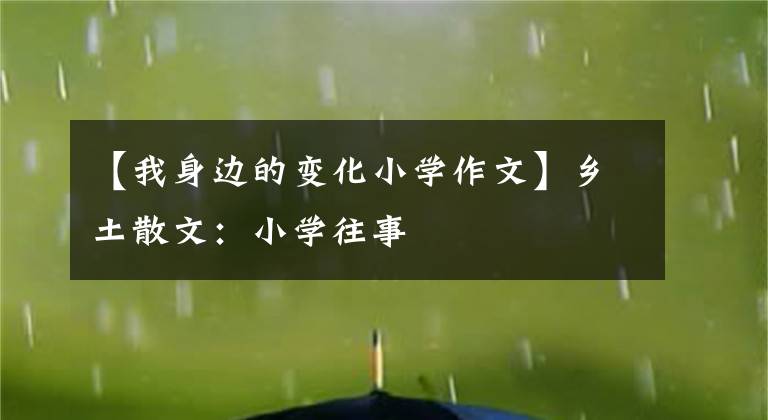 【我身边的变化小学作文】乡土散文:小学往事