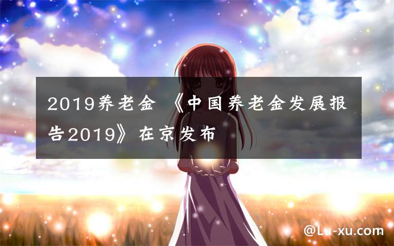 2019养老金 《中国养老金发展报告2019》在京发布