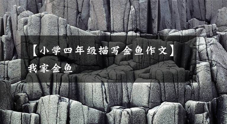 【小学四年级描写金鱼作文】我家金鱼