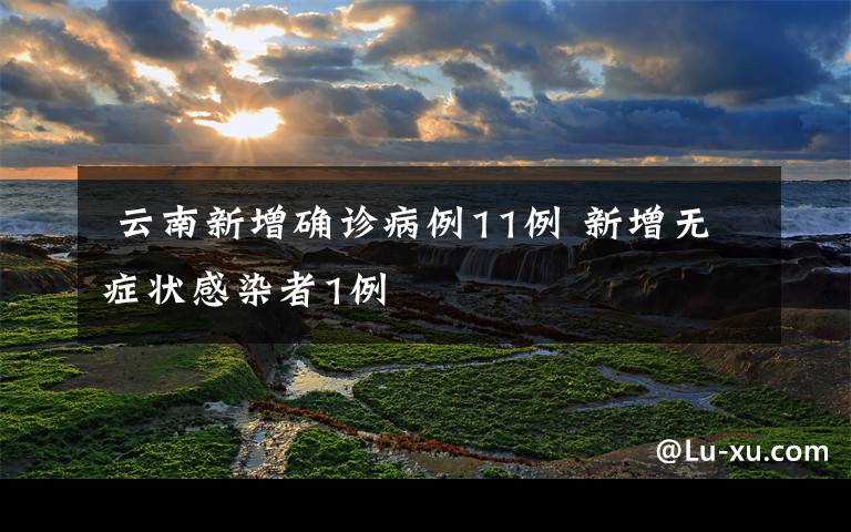  云南新增确诊病例11例 新增无症状感染者1例