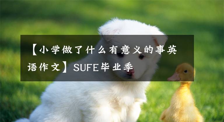 【小学做了什么有意义的事英语作文】SUFE毕业季