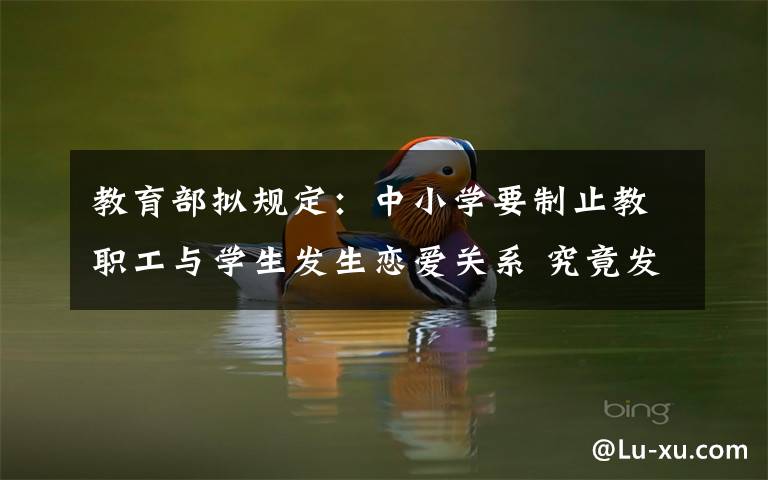 教育部拟规定:中小学要制止教职工与学生发生恋爱关系 究竟发生了什么?