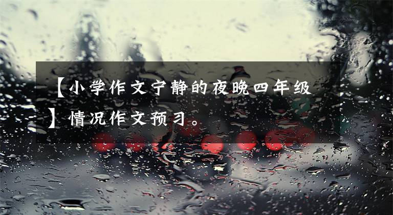 【小学作文宁静的夜晚四年级】情况作文预习。