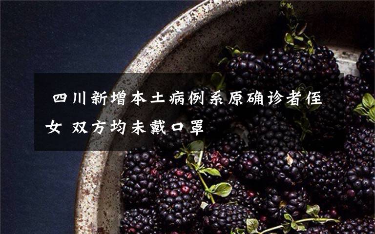 四川新增本土病例系原确诊者侄女 双方均未戴口罩