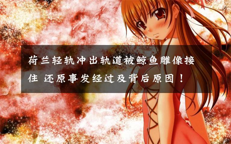 荷兰轻轨冲出轨道被鲸鱼雕像接住 还原事发经过及背后原因!