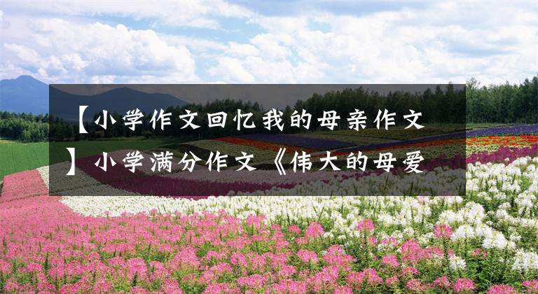 【小学作文回忆我的母亲作文】小学满分作文《伟大的母爱》有了伟大的妈妈,春天到处开花