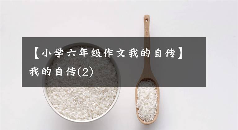 【小学六年级作文我的自传】我的自传(2)
