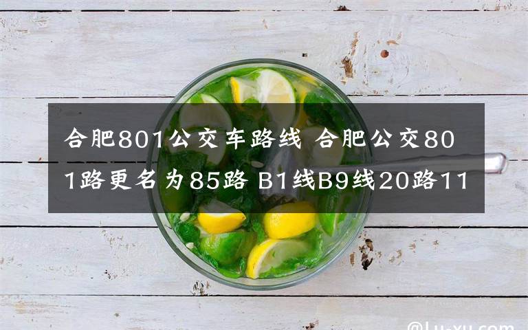合肥801公交车路线 合肥公交801路更名为85路 B1线B9线20路118路调整服务时间