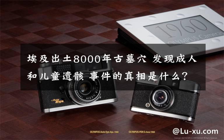 埃及出土8000年古墓穴 发现成人和儿童遗骸 事件的真相是什么?