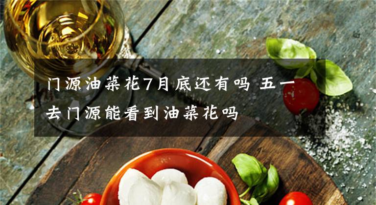 门源油菜花7月底还有吗 五一去门源能看到油菜花吗