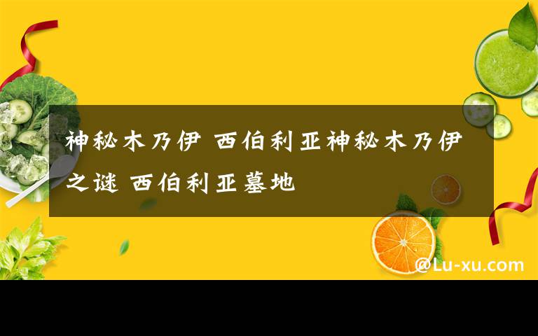 神秘木乃伊 西伯利亚神秘木乃伊之谜 西伯利亚墓地