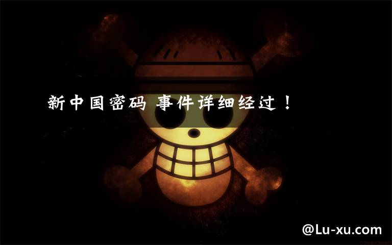 新中国密码 事件详细经过!