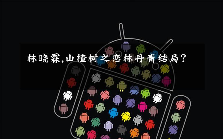 林晓霖,山楂树之恋林丹青结局?