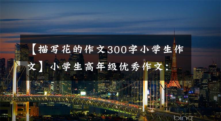 【描写花的作文300字小学生作文】小学生高年级优秀作文：木兰