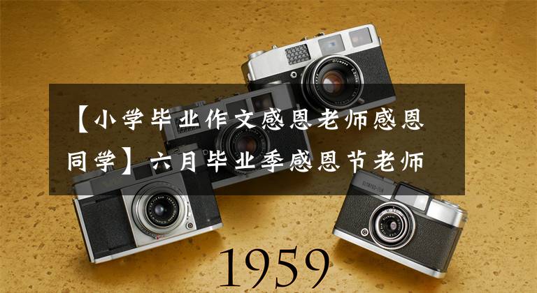 【小学毕业作文感恩老师感恩同学】六月毕业季感恩节老师的话