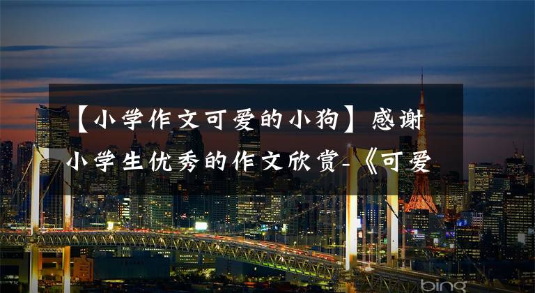【小学作文可爱的小狗】感谢小学生优秀的作文欣赏-《可爱的小狗》 《龟兔赛跑》后续,参考学习。