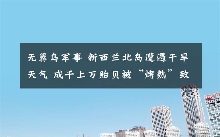 无翼鸟军事 新西兰北岛遭遇干旱天气 成千上万贻贝被“烤熟”致死