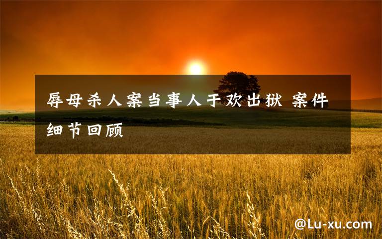 辱母杀人案当事人于欢出狱 案件细节回顾