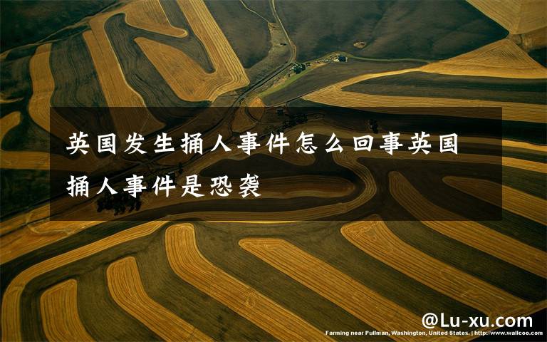 英国发生捅人事件怎么回事英国捅人事件是恐袭