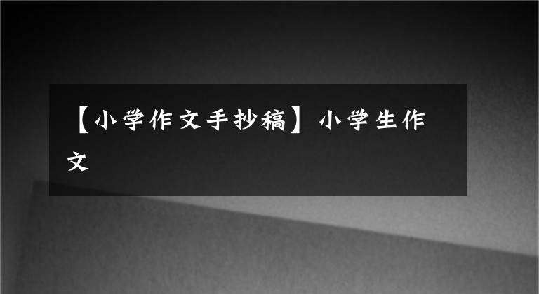 【小学作文手抄稿】小学生作文