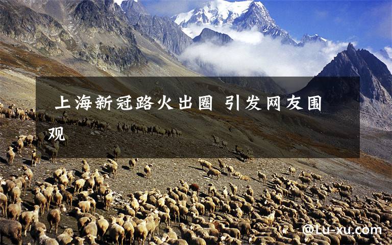  上海新冠路火出圈 引发网友围观