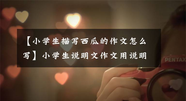 【小学生描写西瓜的作文怎么写】小学生说明文作文用说明文方法写作文《草莓》例句品读仿写鉴赏