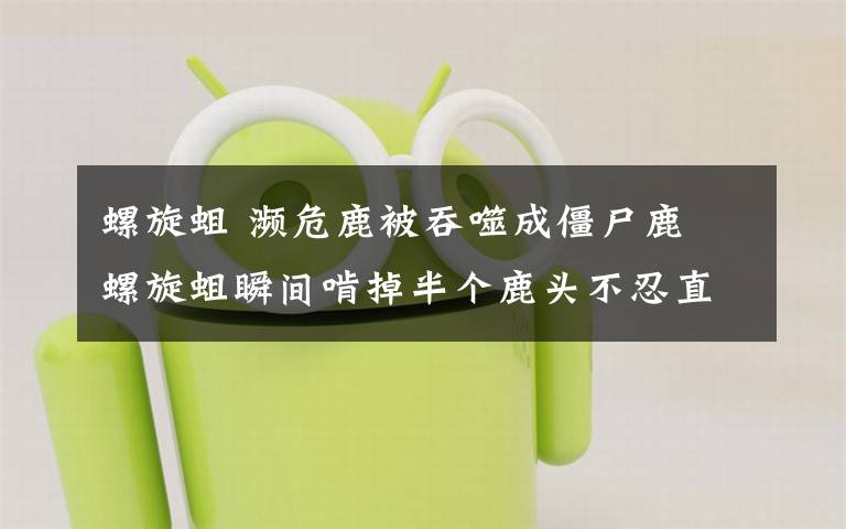 螺旋蛆 濒危鹿被吞噬成僵尸鹿 螺旋蛆瞬间啃掉半个鹿头不忍直视
