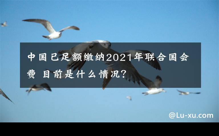 中国已足额缴纳2021年联合国会费 目前是什么情况?
