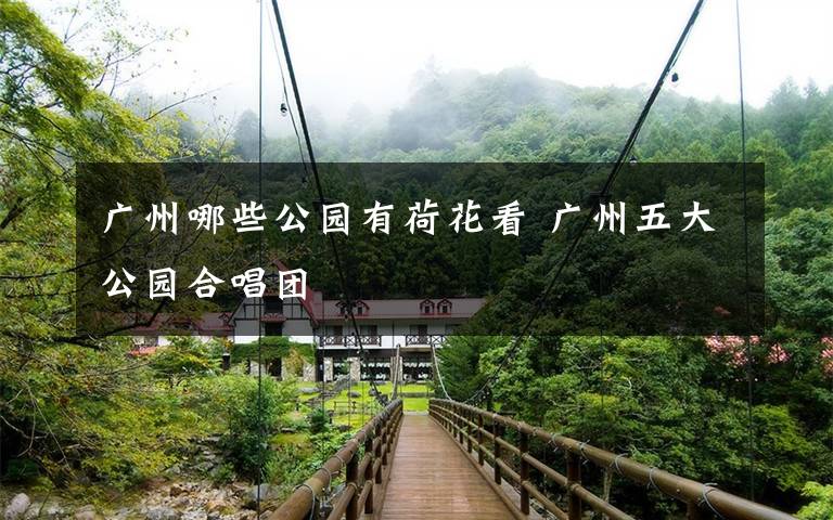 广州哪些公园有荷花看 广州五大公园合唱团