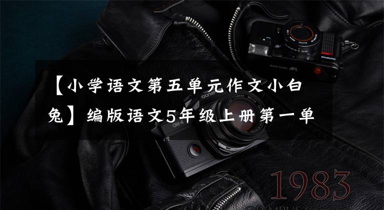 【小学语文第五单元作文小白兔】编版语文5年级上册第一单元作文我心爱的东西。