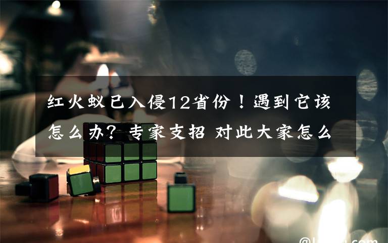 红火蚁已入侵12省份!遇到它该怎么办?专家支招 对此大家怎么看?