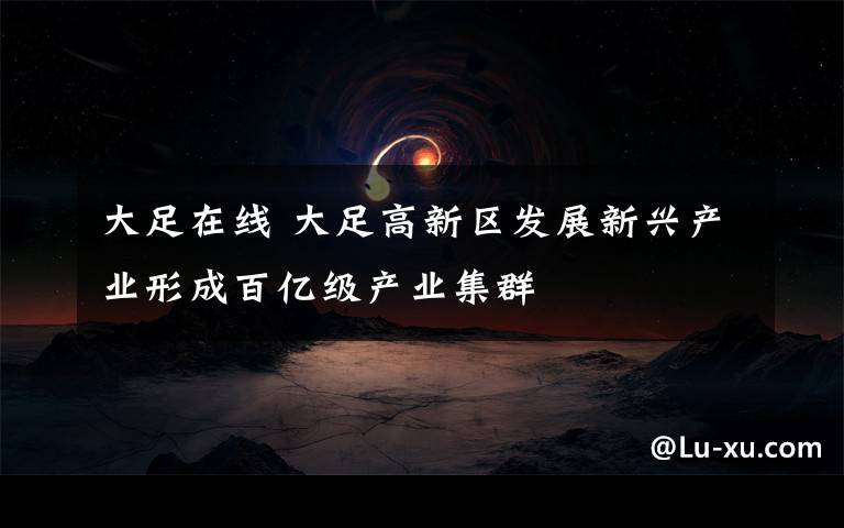 大足在线 大足高新区发展新兴产业形成百亿级产业集群