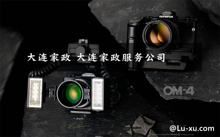 大连家政 大连家政服务公司