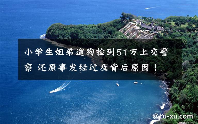 小学生姐弟遛狗捡到51万上交警察 还原事发经过及背后原因!