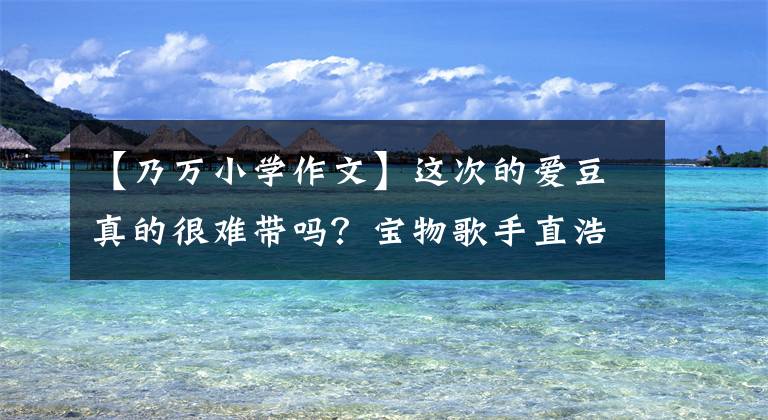 【乃万小学作文】这次的爱豆真的很难带吗?宝物歌手直浩:太难了!